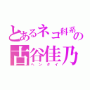 とあるネコ科系の古谷佳乃（ヘンタイ）