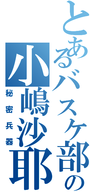 とあるバスケ部の小嶋沙耶（秘密兵器）