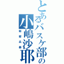 とあるバスケ部の小嶋沙耶（秘密兵器）