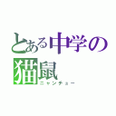 とある中学の猫鼠（ニャンチュー）