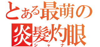 とある最萌の炎髮灼眼（シャナ）