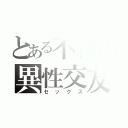 とある不純の異性交友（セックス）