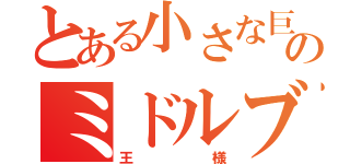 とある小さな巨人のミドルブロッカー（王様）