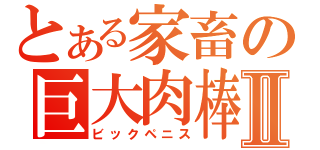 とある家畜の巨大肉棒Ⅱ（ビックペニス）