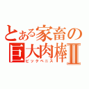 とある家畜の巨大肉棒Ⅱ（ビックペニス）