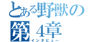 とある野獣の第４章（インタビュー）