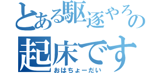 とある駆逐やろーの起床です（おはちょーだい）