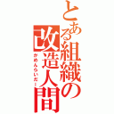 とある組織の改造人間（かめんらいだー）