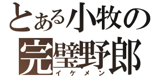 とある小牧の完璧野郎（イケメン）