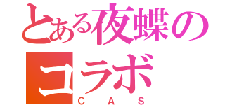 とある夜蝶のコラボ（ＣＡＳ）