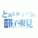 とあるａｉｃｅの電子覗見（カンニング）