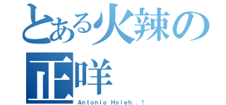 とある火辣の正咩（Ａｎｔｏｎｉｏ Ｈｓｉｅｈ．．！）