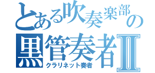 とある吹奏楽部の黒管奏者Ⅱ（クラリネット奏者）