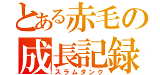 とある赤毛の成長記録（スラムダンク）