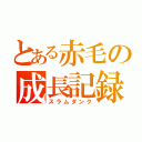 とある赤毛の成長記録（スラムダンク）