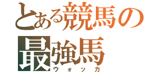 とある競馬の最強馬（ウォッカ）