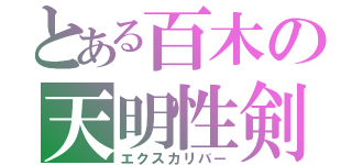 とある百木の天明性剣（エクスカリバー）