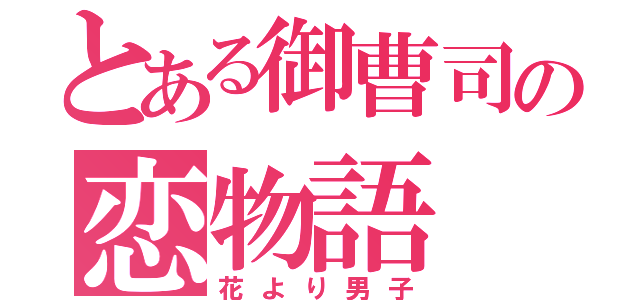 とある御曹司の恋物語（花より男子）