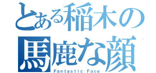 とある稲木の馬鹿な顔（Ｆａｎｔａｓｔｉｃ Ｆａｃｅ）