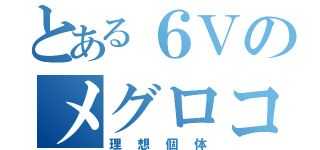 とある６Ｖのメグロコ（理想個体）