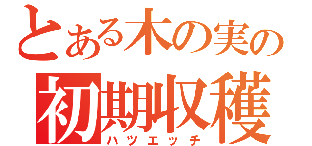 とある木の実の初期収穫（ハツエッチ）