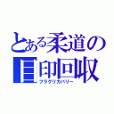 とある柔道の目印回収（フラグリカバリー）