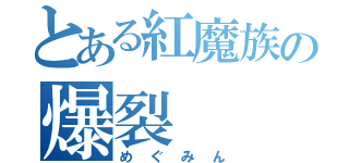 とある紅魔族の爆裂（めぐみん）