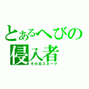 とあるへびの侵入者（その名スネーク）