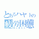 とあるハヤトの疲労困憊（単に疲れた）