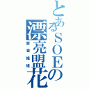 とあるＳＯＥの漂亮盟花（愛雪姐姐）