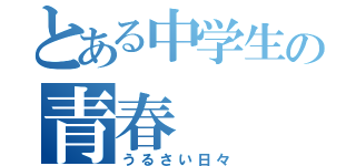 とある中学生の青春（うるさい日々）