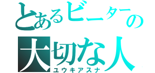 とあるビーターの大切な人（ユウキアスナ）