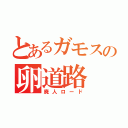 とあるガモスの卵道路（廃人ロード）