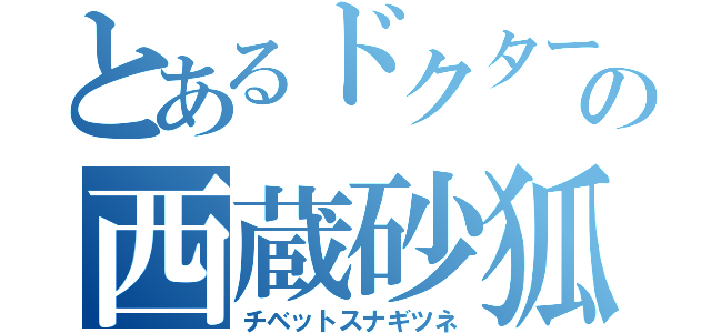 とあるドクターの西蔵砂狐（チベットスナギツネ）