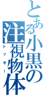 とある小黒の注視物体（トッキー）