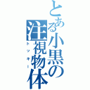 とある小黒の注視物体（トッキー）