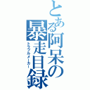 とある阿呆の暴走目録（トラブルメーカー）