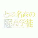 とある名高の浜島学徒（スコラーリス）