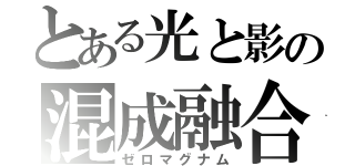 とある光と影の混成融合（ゼロマグナム）