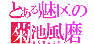 とある魅区の菊池風磨（きくちふうま）