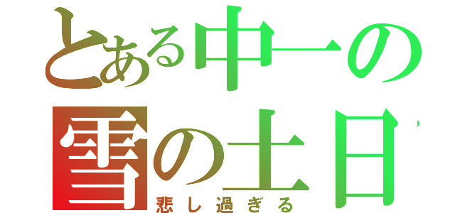 とある中一の雪の土日（悲し過ぎる）