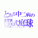 とある中二病の軟式庭球（ソフトテニス）