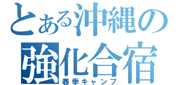 とある沖縄の強化合宿（春季キャンプ）