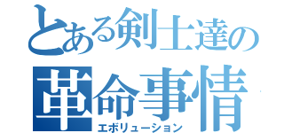 とある剣士達の革命事情（エボリューション）