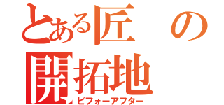 とある匠の開拓地（ビフォーアフター）