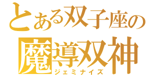 とある双子座の魔導双神（ジェミナイズ）