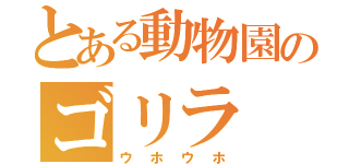 とある動物園のゴリラ（ウホウホ）