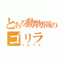 とある動物園のゴリラ（ウホウホ）