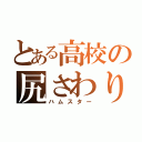 とある高校の尻さわり（ハムスター）