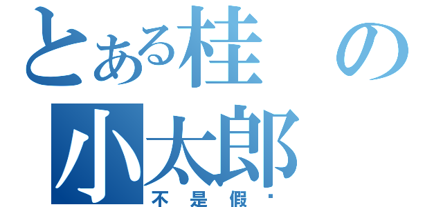 とある桂の小太郎（不是假发）